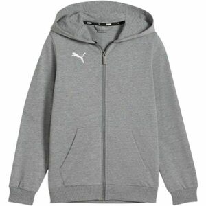 Puma TEAMGOAL CASUALS HOODED JACKET Chlapecká mikina, šedá, velikost obraz