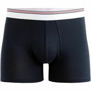 CELIO MIKE Pánské spodní prádlo, tmavě modrá, velikost obraz