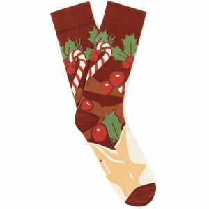 CELIO XJISOBUCHE Pánské ponožky, hnědá, velikost obraz