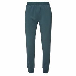 Russell Athletic SMALL SIGN Pánské tepláky, modrá, velikost obraz