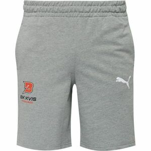 Puma TEAMGOAL CASUALS SHORTS - BK KVIS PARDUBICE Pánské kraťasy, šedá, velikost obraz