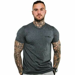 GymBeam BASIC Pánské tričko, tmavě šedá, velikost obraz