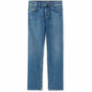 CELIO DOWSTRAI Pánské džínové kalhoty, modrá, velikost obraz