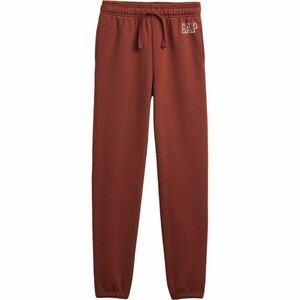 GAP V-FRCH LOGO JOGGER Chlapecké tepláky, hnědá, velikost obraz