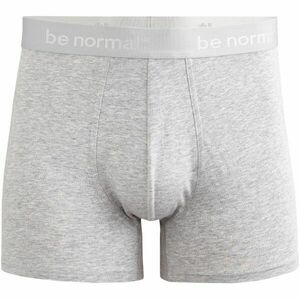 CELIO BINORMAL Pánské spodní prádlo, šedá, velikost obraz