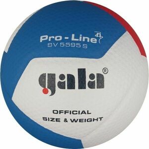 GALA BV 5595 S PRO LINE 12 Volejbalový míč, bílá, velikost obraz