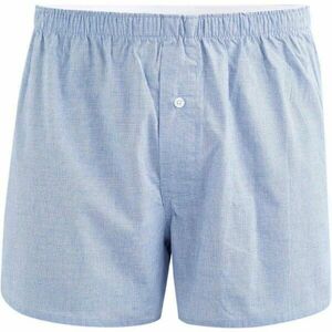 CELIO MICUADRO Pánské spodní prádlo, světle modrá, velikost obraz