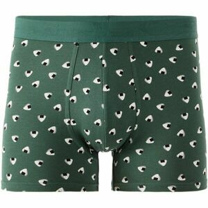 CELIO XMIBONIGIO Boxerky v dárkovém balení, zelená, velikost obraz