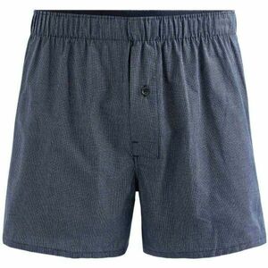 CELIO MICUADRO Pánské spodní prádlo, tmavě modrá, velikost obraz