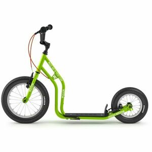 Yedoo WZOOM Koloběžka, zelená, velikost obraz