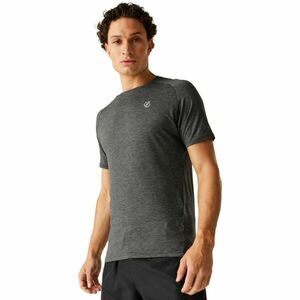 Dare2b PERSIST Pánské funkční triko, šedá, velikost obraz