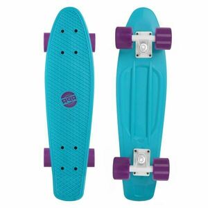 Reaper HOMIE Plastový skateboard, tyrkysová, velikost obraz