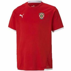 Puma TEAM LIGA JERSEY TEE JR ZBROJOVKA BRNO Juniorské fotbalové triko, červená, velikost obraz
