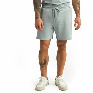 GymBeam LIMITLESS Pánské šortky, šedá, velikost obraz