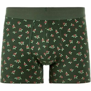 CELIO XMIBOHOLLY Pánské boxerky v dárkovém balení, khaki, velikost obraz