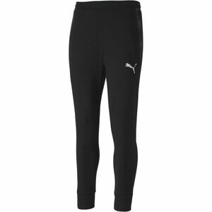 Puma TEAM FINAL 21 CASUALS SWEAT PANTS Pánské kalhoty, černá, velikost obraz