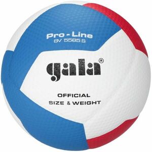 GALA BV5585 PRO-LINE 12 Volejbalový míč, bílá, velikost obraz