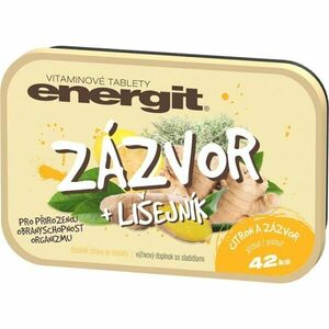 VITAR ENERGIT ZÁZVOR + LIŠEJNÍK Doplněk stravy, , velikost obraz