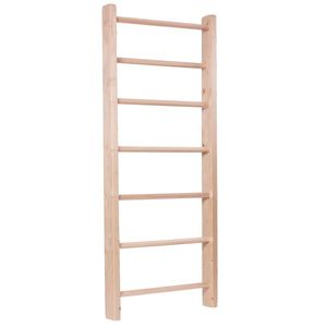 Žebřiny inSPORTline Steadyline 220x65 cm obraz