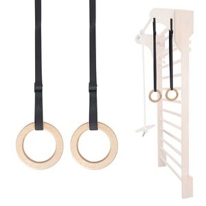 Gymnastické kruhy k žebřinám obraz