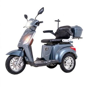 Elektrický tříkolový vozík inSPORTline Zorica Lion s odnímatelnou baterií modrá obraz