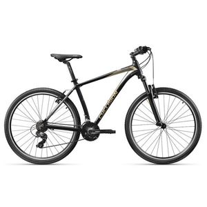 Horské kolo Cyclision Corph 8 MK-II 29" L (19", 170-185 cm) Thunder Gold obraz