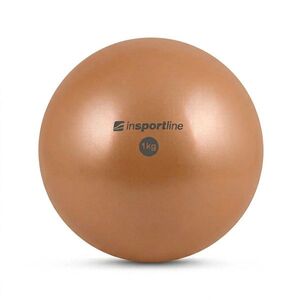 Jóga míč inSPORTline Yoga Ball 1 kg mocha mousse obraz