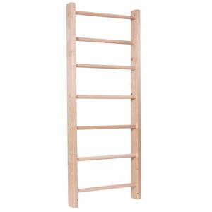 Žebřiny inSPORTline Steadyline 220x90 cm obraz