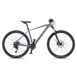 Horské kolo 4EVER Frontbee 29'' 10.0 L (19", 175-185 cm) foggy/silver obraz