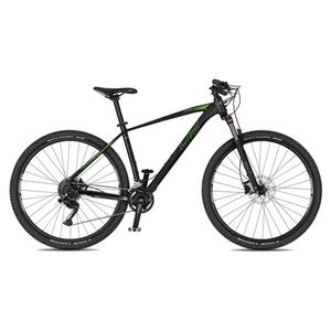 Horské kolo 4EVER Frontbee 29'' 10.0 L (19", 175-185 cm) pearl black/green obraz