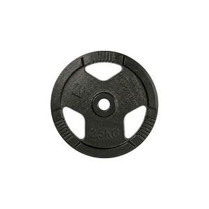 Litinový kotouč inSPORTline Hamerton Black 2, 5 kg 30 mm obraz