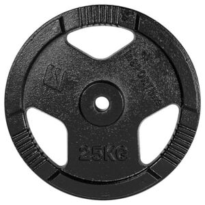 Litinový Kotouč Insportline Hamerton 25 Kg obraz