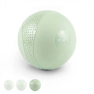 Mini medicinbal inSPORTline Sendelar 12cm/1, 5kg obraz