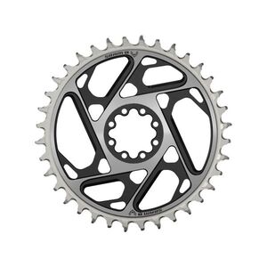 SRAM převodník - T-TYPE 36T - stříbrná/černá obraz