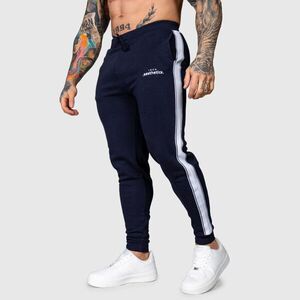 Jogger tepláky Iron Aesthetics Strips, navy obraz