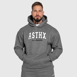 Oversized mikina Iron Aesthetics ASTHX, šedá obraz