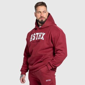 Oversized mikina Iron Aesthetics ASTHX, bordová obraz