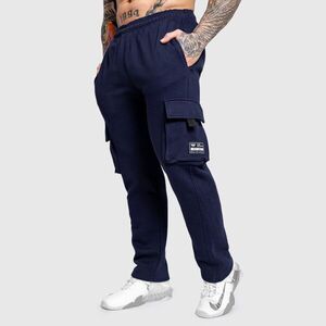 Pánské tepláky Iron Aesthetics Utility, navy obraz