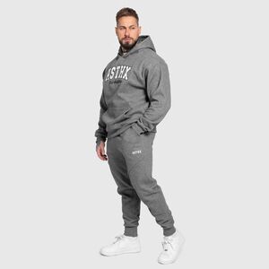 Tepláková souprava Iron Aesthetics ASTHX, šedá obraz