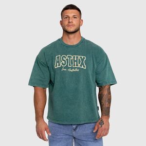 Pánské tričko Iron Aesthetics ASTHX, washed green obraz