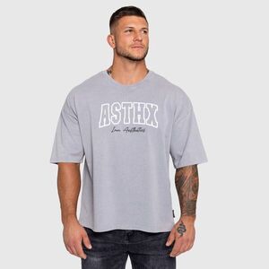 Pánské tričko Iron Aesthetics ASTHX, washed grey obraz