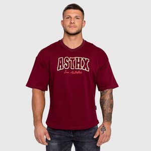 Pánské tričko Iron Aesthetics ASTHX, maroon obraz