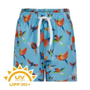Chlapecké plavky COLOR KIDS-Swim shorts short AOP UPF 30+ Blue Fish obraz