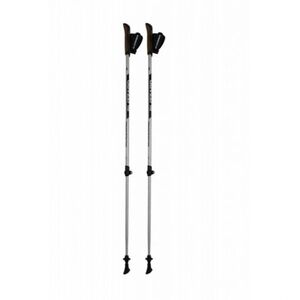 Nordic walking hole BLIZZARD-Alu Performance nordic walking poles, silver/black obraz