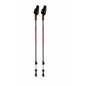 Nordic walking hole BLIZZARD-Alu Performance nordic walking poles, anthracite/pink obraz