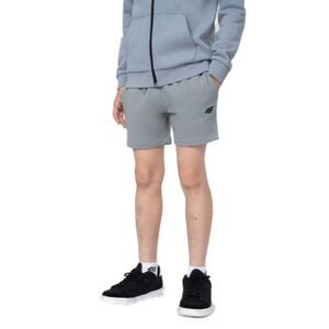 Chlapecké teplákové kraťasy 4F JUNIOR-SHORTS CAS M048-34S-LIGHT BLUE obraz