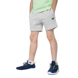 Chlapecké teplákové kraťasy 4F JUNIOR-SHORTS CAS M048-27M-COLD LIGHT GREY MELANGE obraz