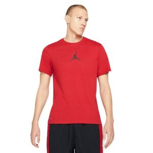 Pánské tričko s krátkým rukávem NIKE-JORDAN M J JUMPMAN DF SS CREW-687-Red obraz