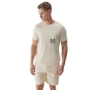 Pánské tričko s krátkým rukávem 4F-TSHIRT-4FWSS24TTSHM1284-83S-BEIGE obraz