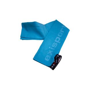 Uterák AUTHORITY-Towel MINI blue 42 x 55cm obraz